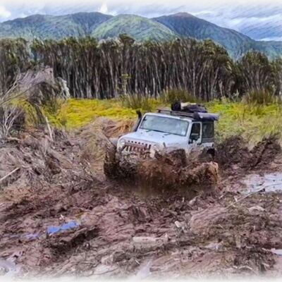 imageedit 9 2056479979 Thumbnail